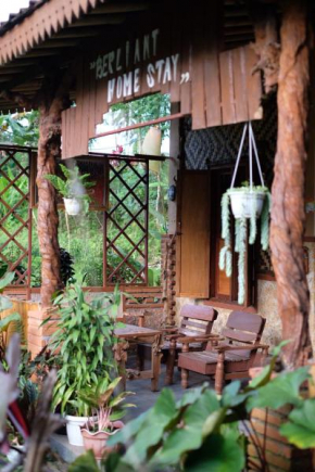 Berliant Homestay